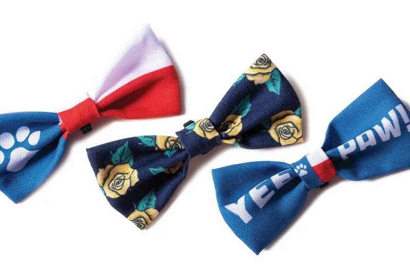Dapper Dogware: Branded Dog Ties