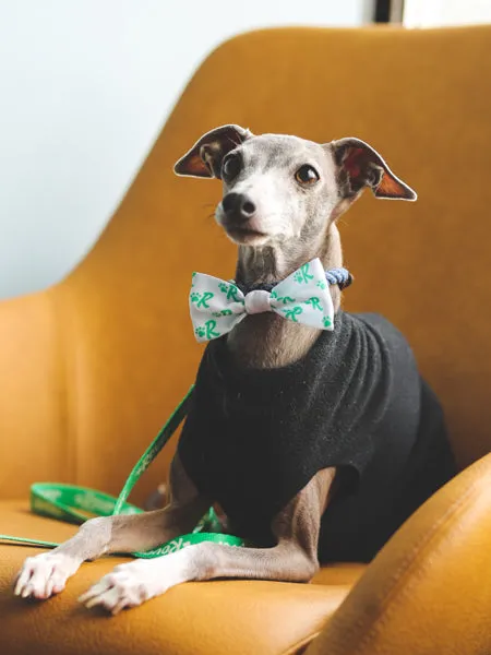 Dapper Dogware: Branded Dog Ties