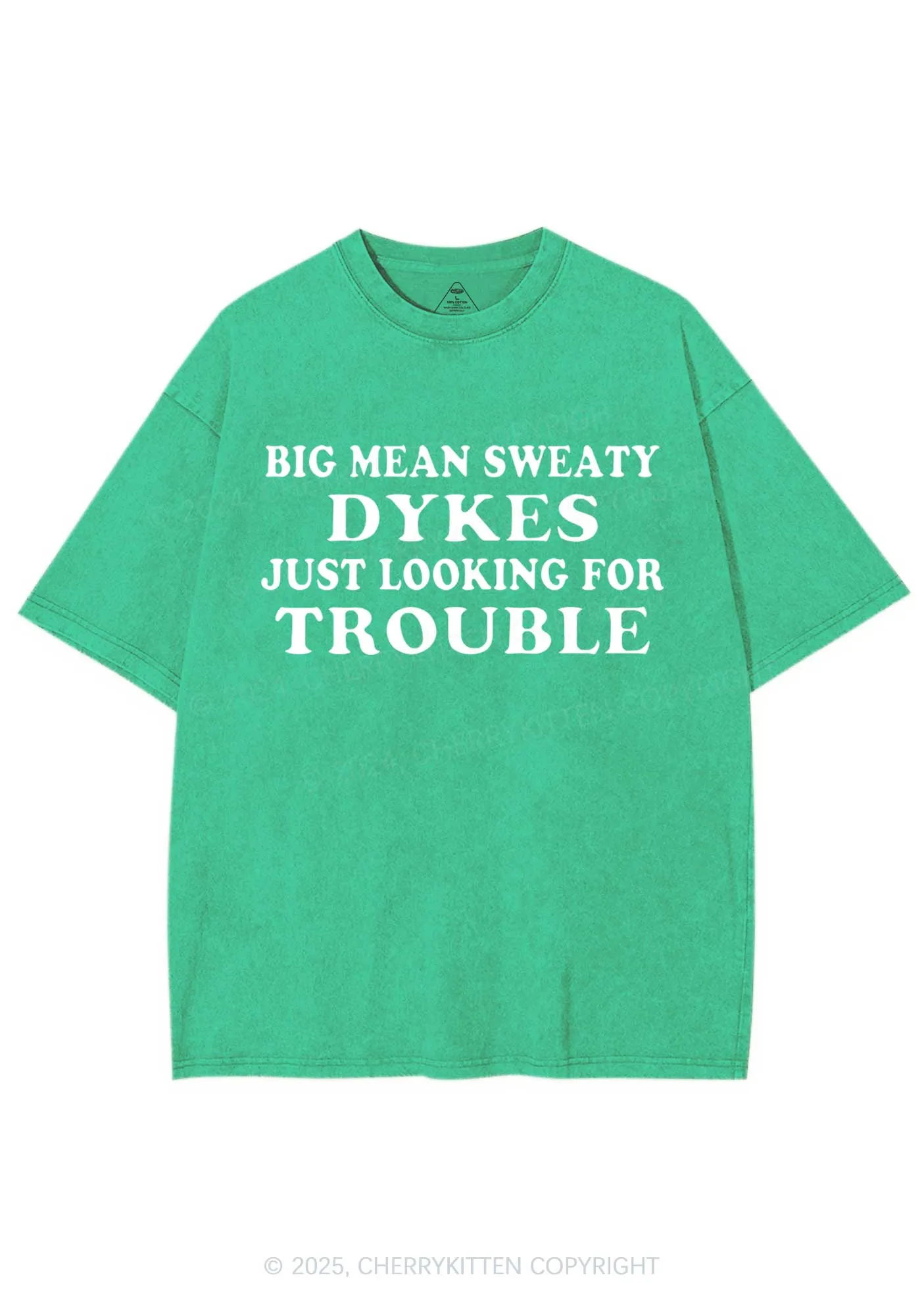 Dykes Trouble Y2K Shirts Washed Tee Cherrykitten