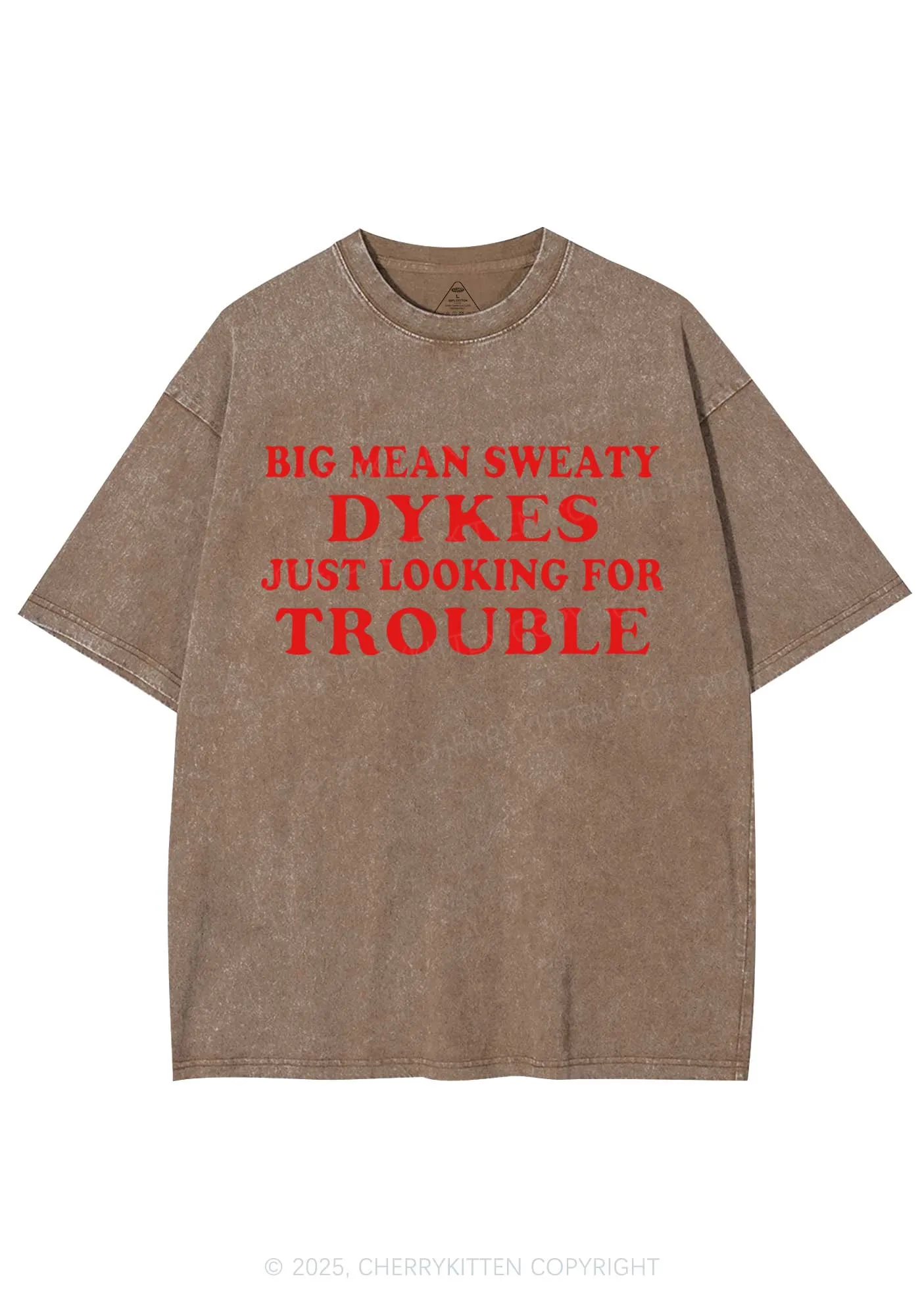 Dykes Trouble Y2K Shirts Washed Tee Cherrykitten