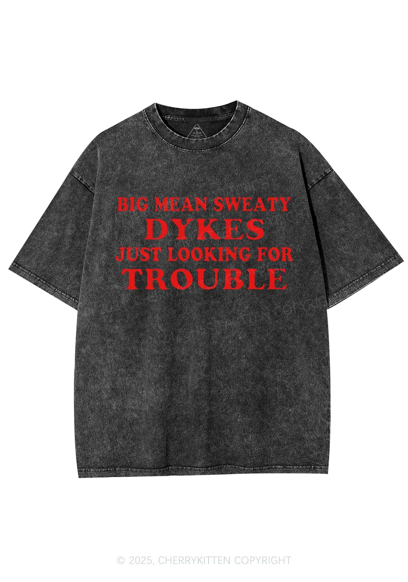 Dykes Trouble Y2K Shirts Washed Tee Cherrykitten