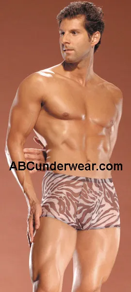Sheer Zebra Pouch Short XL